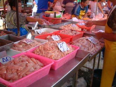 mercado (29)  ALIMENTOS MERCADO